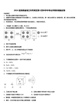 2024届海南省海口市秀英区第十四中学中考化学模拟精编试卷含解析.doc