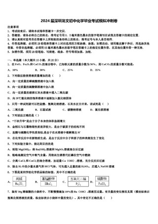 2024届深圳龙文初中化学毕业考试模拟冲刺卷含解析.doc
