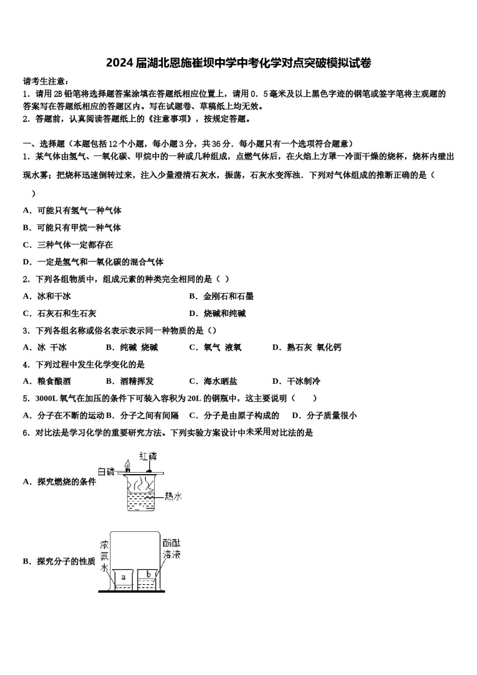 2024届湖北恩施崔坝中学中考化学对点突破模拟试卷含解析.doc_第1页