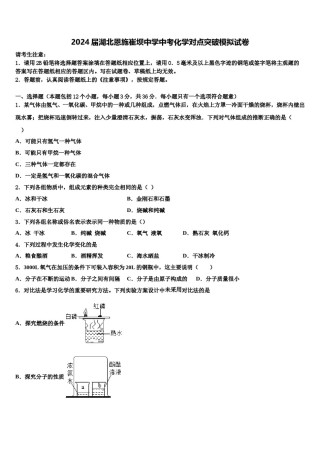 2024届湖北恩施崔坝中学中考化学对点突破模拟试卷含解析.doc