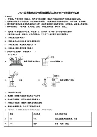 2024届湖北省咸宁市崇阳县重点达标名校中考猜题化学试卷含解析.doc