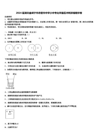 2024届湖北省咸宁市赤壁市中学小中考化学最后冲刺浓缩精华卷含解析.doc