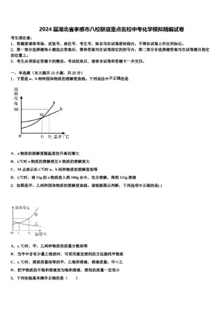 2024届湖北省孝感市八校联谊重点名校中考化学模拟精编试卷含解析.doc