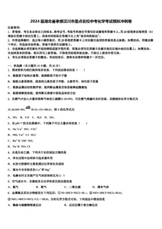 2024届湖北省孝感汉川市重点名校中考化学考试模拟冲刺卷含解析.doc