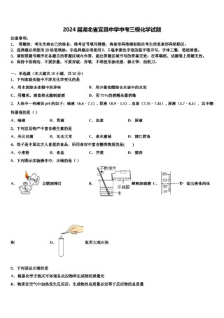 2024届湖北省宜昌中学中考三模化学试题含解析.doc