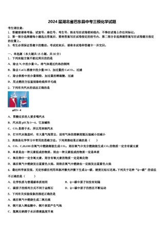 2024届湖北省巴东县中考三模化学试题含解析.doc