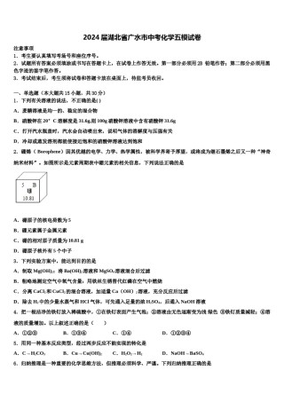 2024届湖北省广水市中考化学五模试卷含解析.doc