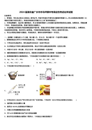 2024届湖北省广水市市马坪镇中考适应性考试化学试题含解析.doc