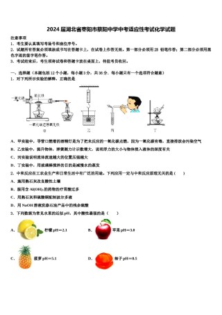 2024届湖北省枣阳市蔡阳中学中考适应性考试化学试题含解析.doc
