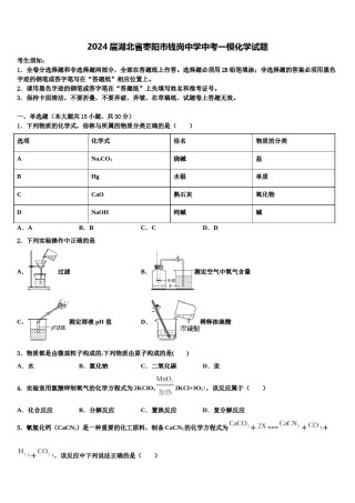 2024届湖北省枣阳市钱岗中学中考一模化学试题含解析.doc