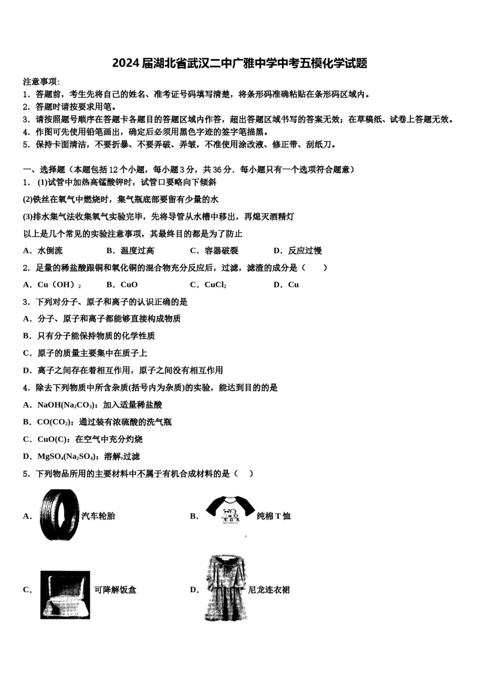 2024届湖北省武汉二中广雅中学中考五模化学试题含解析.doc_第1页