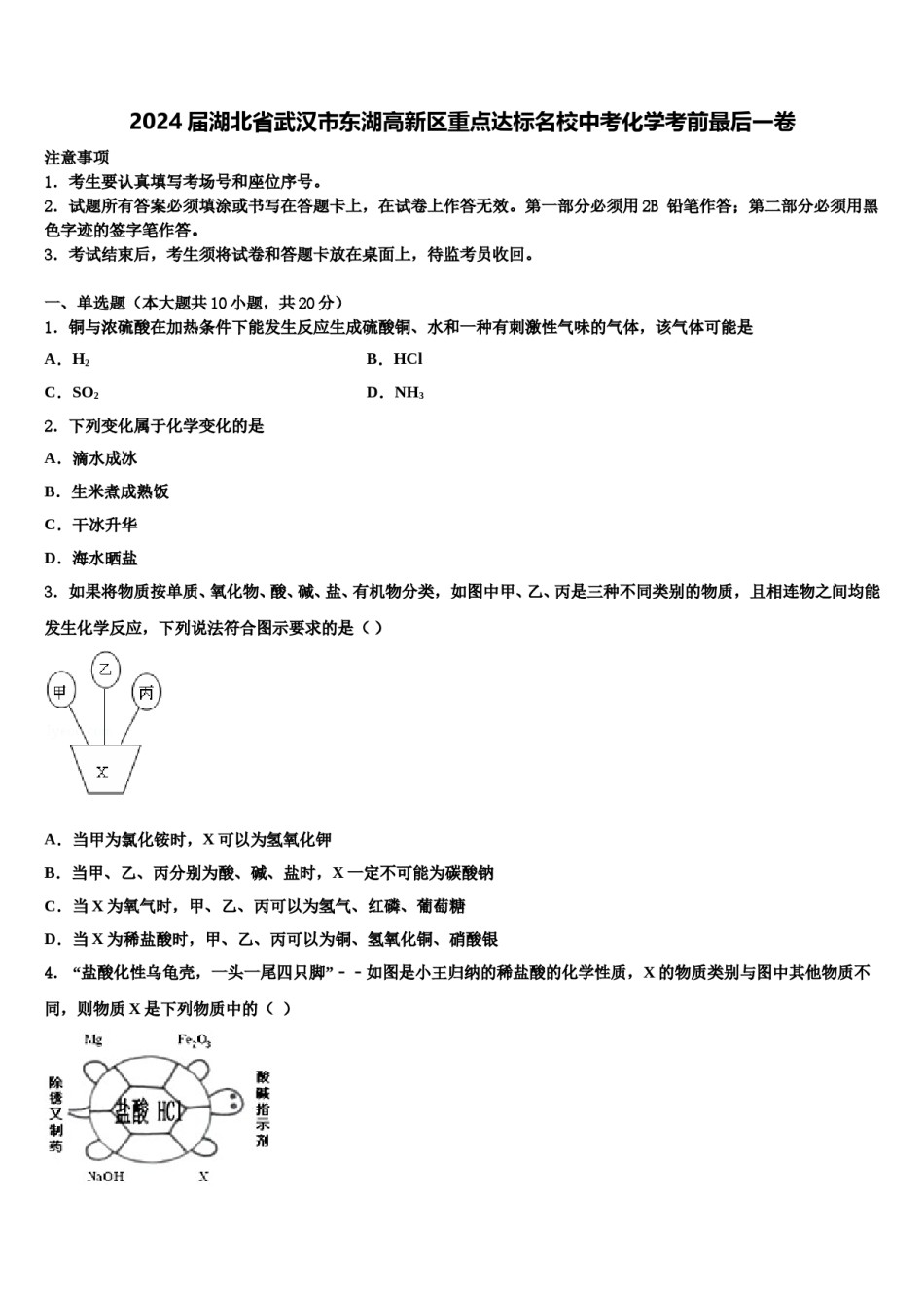 2024届湖北省武汉市东湖高新区重点达标名校中考化学考前最后一卷含解析.doc_第1页