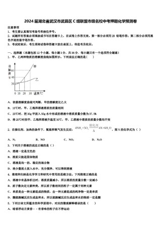 2024届湖北省武汉市武昌区C组联盟市级名校中考押题化学预测卷含解析.doc
