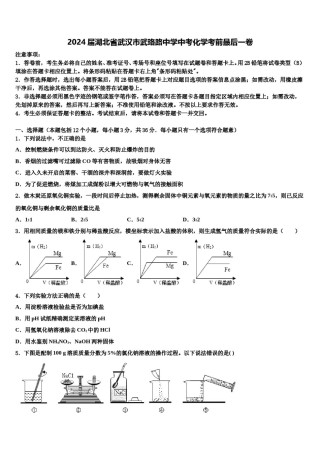 2024届湖北省武汉市武珞路中学中考化学考前最后一卷含解析.doc