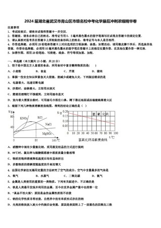 2024届湖北省武汉市青山区市级名校中考化学最后冲刺浓缩精华卷含解析.doc
