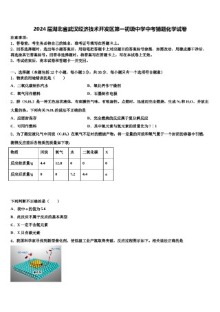 2024届湖北省武汉经济技术开发区第一初级中学中考猜题化学试卷含解析.doc