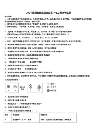 2024届湖北省武汉青山区中考二模化学试题含解析.doc