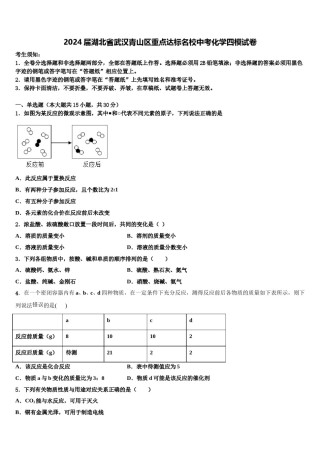 2024届湖北省武汉青山区重点达标名校中考化学四模试卷含解析.doc