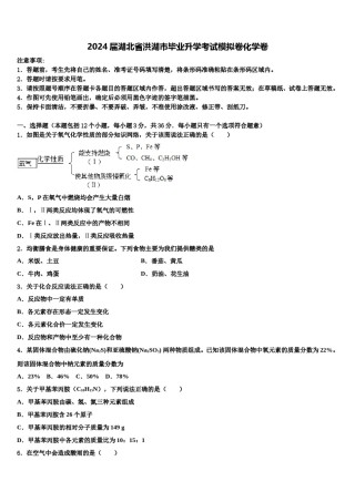 2024届湖北省洪湖市毕业升学考试模拟卷化学卷含解析.doc