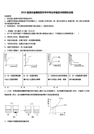 2024届湖北省襄阳四中学中考化学最后冲刺模拟试卷含解析.doc