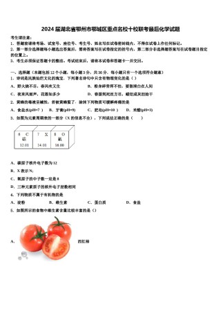 2024届湖北省鄂州市鄂城区重点名校十校联考最后化学试题含解析.doc