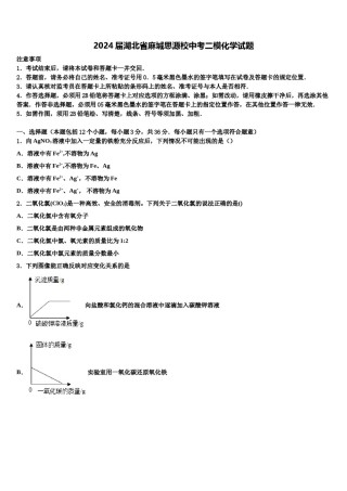 2024届湖北省麻城思源校中考二模化学试题含解析.doc