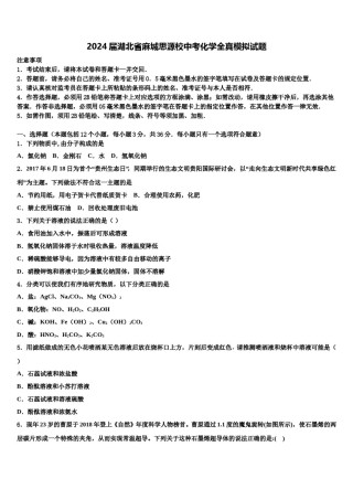 2024届湖北省麻城思源校中考化学全真模拟试题含解析.doc