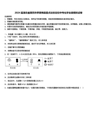 2024届湖北省黄冈市季黄梅县重点达标名校中考化学全真模拟试卷含解析.doc