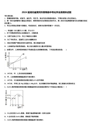 2024届湖北省黄冈市黄梅县中考化学全真模拟试题含解析.doc