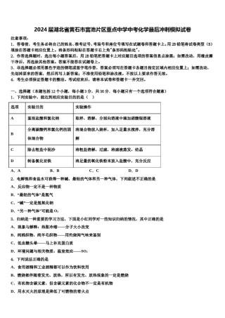2024届湖北省黄石市富池片区重点中学中考化学最后冲刺模拟试卷含解析.doc