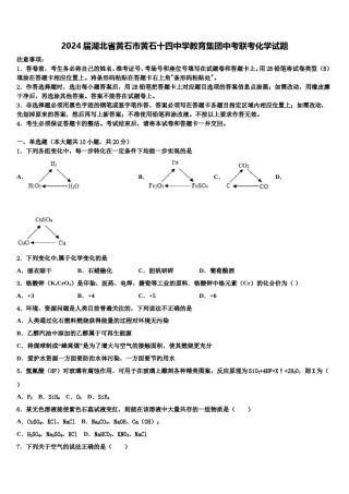2024届湖北省黄石市黄石十四中学教育集团中考联考化学试题含解析.doc