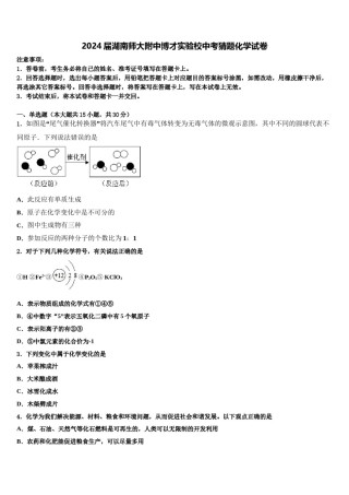 2024届湖南师大附中博才实验校中考猜题化学试卷含解析.doc