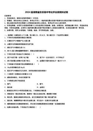 2024届湖南省东安县中考化学全真模拟试卷含解析.doc