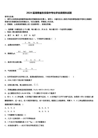 2024届湖南省东安县中考化学全真模拟试题含解析.doc