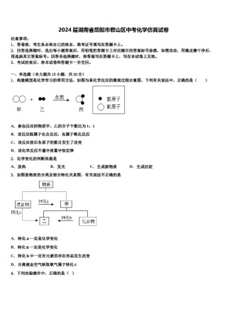 2024届湖南省岳阳市君山区中考化学仿真试卷含解析.doc
