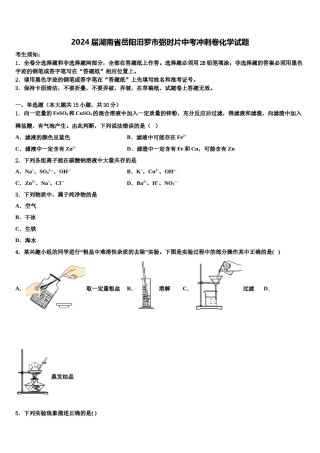 2024届湖南省岳阳汨罗市弼时片中考冲刺卷化学试题含解析.doc