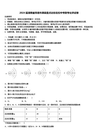 2024届湖南省常德市澧县重点达标名校中考联考化学试卷含解析.doc