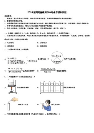 2024届湖南省株洲市中考化学模拟试题含解析.doc