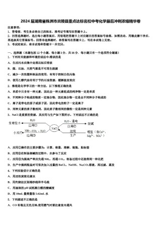 2024届湖南省株洲市炎陵县重点达标名校中考化学最后冲刺浓缩精华卷含解析.doc