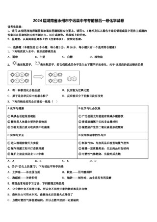 2024届湖南省永州市宁远县中考考前最后一卷化学试卷含解析.doc