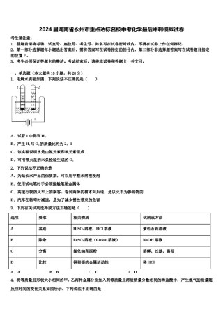 2024届湖南省永州市重点达标名校中考化学最后冲刺模拟试卷含解析.doc