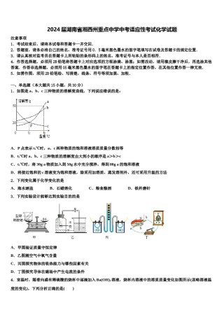 2024届湖南省湘西州重点中学中考适应性考试化学试题含解析.doc
