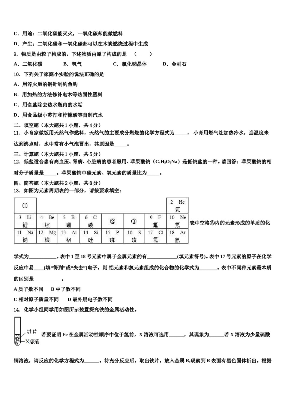 2024届湖南省衡阳市耒阳市重点中学中考化学押题卷含解析.doc_第3页