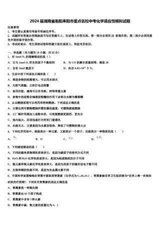 2024届湖南省衡阳耒阳市重点名校中考化学适应性模拟试题含解析.doc