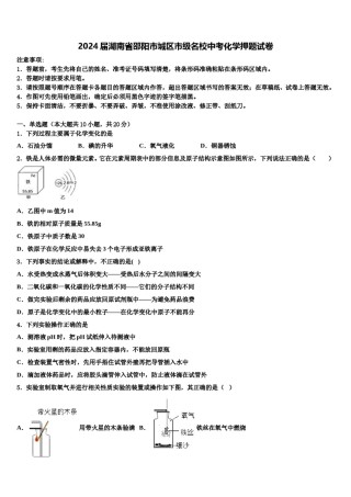 2024届湖南省邵阳市城区市级名校中考化学押题试卷含解析.doc