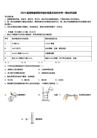 2024届湖南省邵阳市城步县重点名校中考一模化学试题含解析.doc