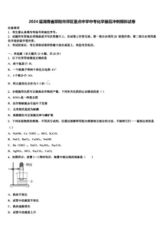 2024届湖南省邵阳市郊区重点中学中考化学最后冲刺模拟试卷含解析.doc
