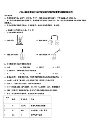 2024届湖南省长沙市望城县市级名校中考猜题化学试卷含解析.doc