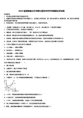 2024届湖南省长沙市雅礼雨花中学中考猜题化学试卷含解析.doc