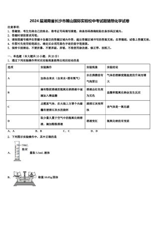 2024届湖南省长沙市麓山国际实验校中考试题猜想化学试卷含解析.doc